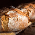 FABRIKA BAKERY